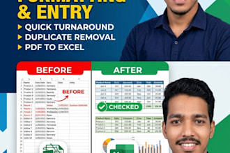 be your expert excel, data entry, typing, formatting,