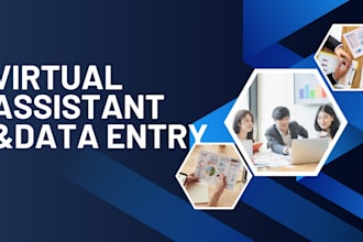do professional data entry work