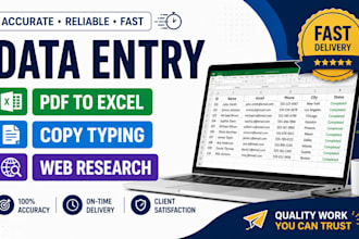 accurate data entry and excel work