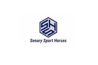 design senary sports horses logo