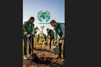 plant trees and make earth a better place
