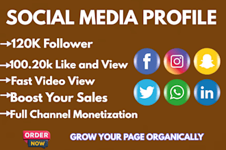 do organic instagram promotion, twitter, fb, youtube channel, linkedin follower