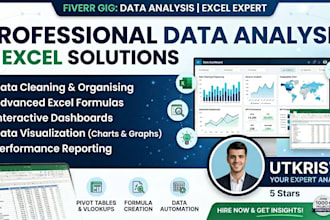be your professional data analyst and excel expert