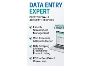 do professional data entry, web research, and copypaste work
