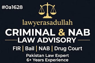 provide legal advice on nab and drug court cases in pakistan