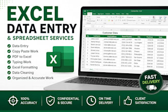 do excel data entry,PDF to excel and spreadsheet work