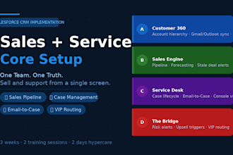 implement salesforce sales and service cloud CRM