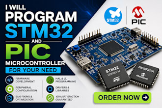 program stm32and pics microcontroller for your need