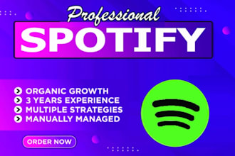 provide USA targeted spotify music promotion