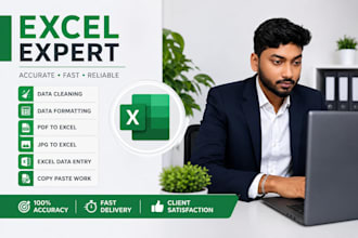 clean, format and organize excel data professionally
