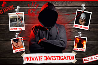 perform osint, private investigation, background check