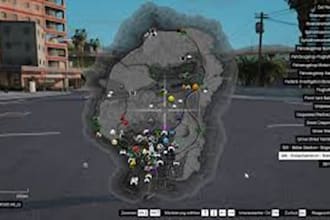 fully design a custom fivem NYC, la,ls minimap for your server