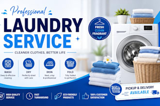 provide professional laundry, washing, ironing and dry cleaning services