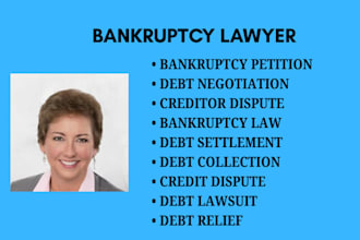 handle bankruptcy, debt relief, creditor disputes, and debt settlement matters