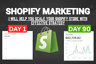critique shopify website shopify marketing to increase shopify traffic and sales