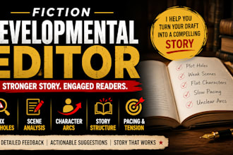 fix plot holes, scene level analysis,character arc, fiction developmental editor