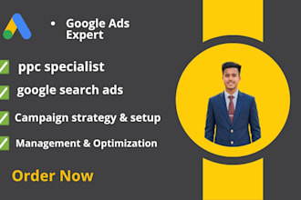 setup and optimize google ads ppc campaign and GTM setup