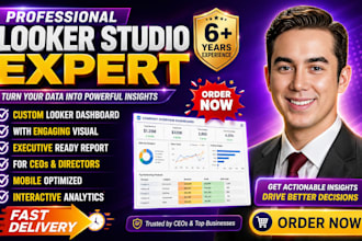 create a professional google looker studio dashboard reports