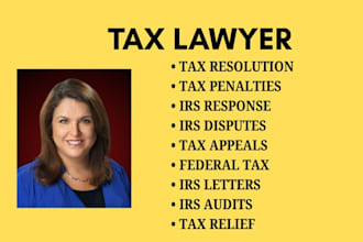 assist with irs audits, tax relief, tax debt, and federal tax disputes