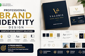 redesign a professional branding kit brand style guide and brand identity kit