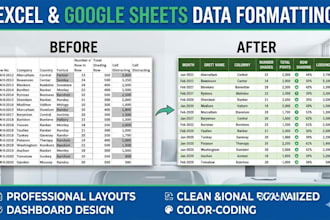 format, clean layouts, and design professional excel or google sheets dashboards