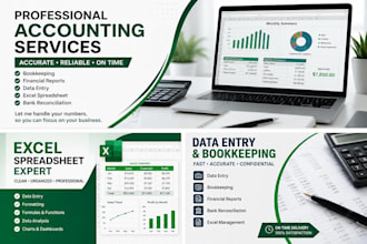 do professional accounting and excel spreadsheet work