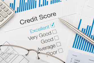 professionally, do your credit repair, remove inquiries in 3 bureaus, collection