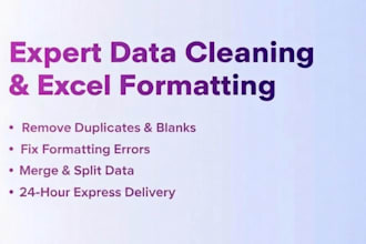 do expert data cleaning, excel formatting, and data entry