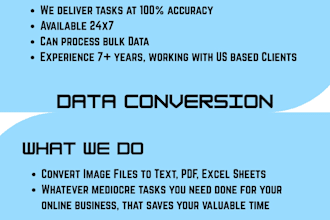 transcribe images to organized excel data sheet