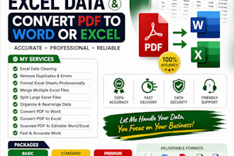 clean, format, merge excel data and convert PDF to word or excel