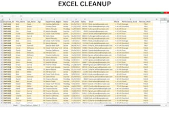 do accurate data entry, excel cleanup, and web research