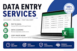 do data entry data cleaning PDF conversion and quality checks