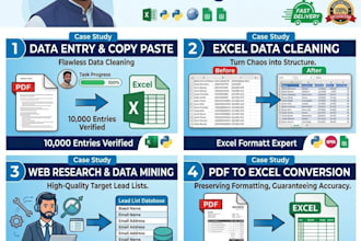 do expert data entry, excel data cleaning, analysis, visualization and labeling