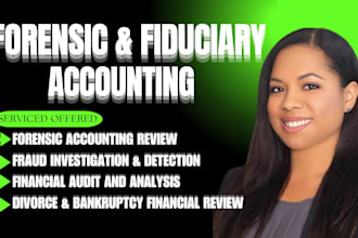 provide asset tracing, forensic accounting, divorce support, litigation support