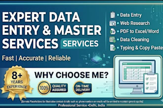 do expert data entry, master excel, and web research work