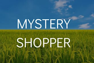 be your mystery shopper in germany
