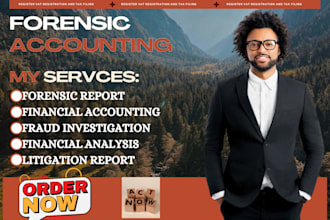 do forensic accounting, fraud investigation, forensic audit and due diligence