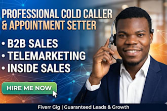 be your b2b cold caller and appointment setter sales expert online sales
