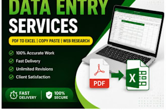 do data entry , excel work , PDF to ecel