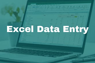 excel data entry with data formatting