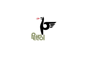 create a creative bird mascot logo design