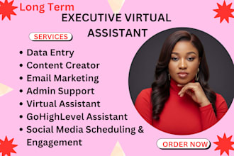 be your executive virtual assistant admin support ghl assistant instagram reels