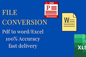 do professional file conversion and formatting