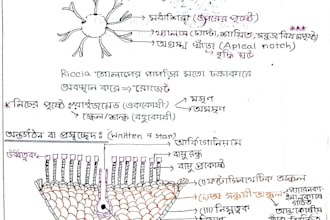 provide premium handwritten hsc study notes PDF