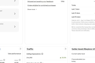 manage your ebay store professionally