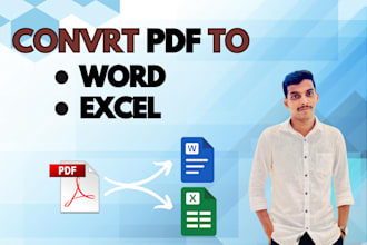 convert PDF to word or excel professionally
