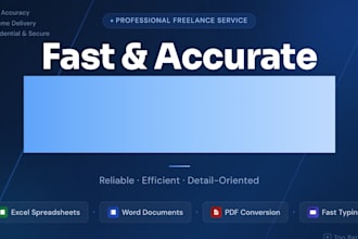 do professional excel data entry, copy paste work, and web research