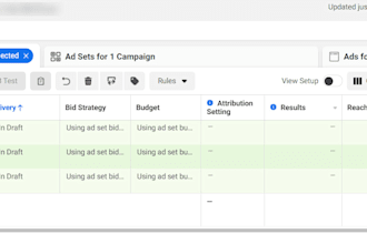 build your paid media strategy and setup ad campaigns