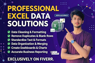excel data cleaning, data formatting, and excel data analysis