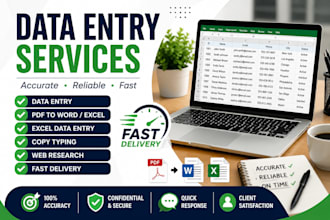 do accurate data entry, copy typing, excel data entry, PDF conversion